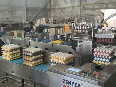 Solución automatizada de carga, clasificación y envasado de huevos en Filipinas, en 2024