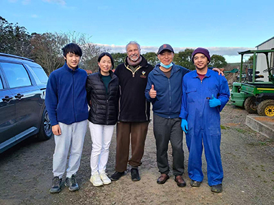 Solución de clasificación y envasado de huevos en Auckland, Nueva Zelanda, en 2026
