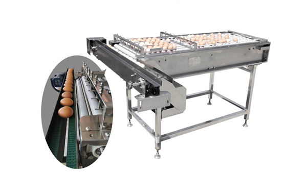 Acumulador de huevos 605G