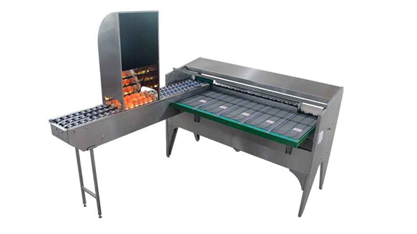 Clasificadora de huevos 102B