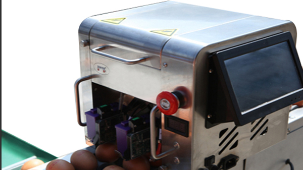 Codificador de huevos 402H