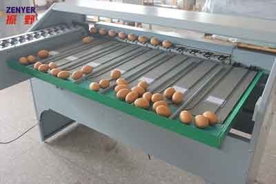 Recolección