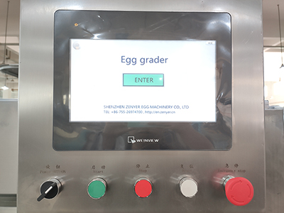 Clasificadora de huevos 109