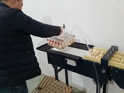 Inspección a trasluz