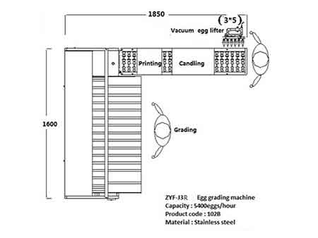 Clasificadora de huevos 102B