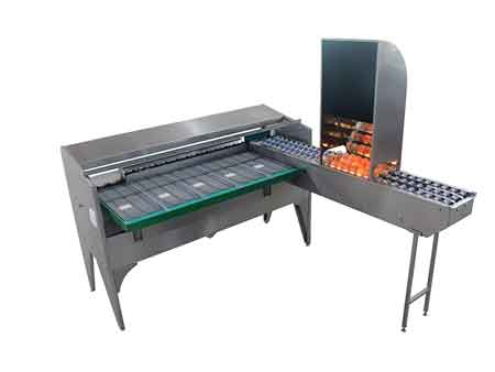 Clasificadora de huevos 102B