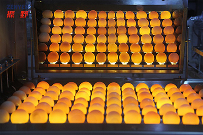 Lavadora de huevos 204A