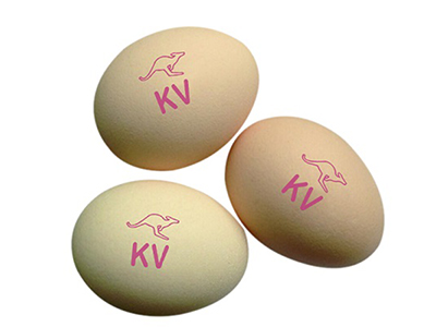 Codificador de huevos 402H