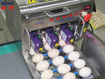 Codificador de huevos 403H
