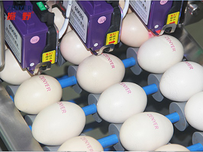 Codificador de huevos 403H