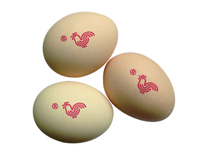 Codificador de huevos 403H