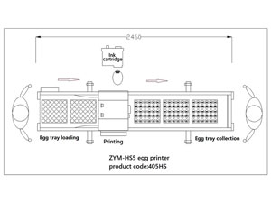 Codificador de huevos 405HS