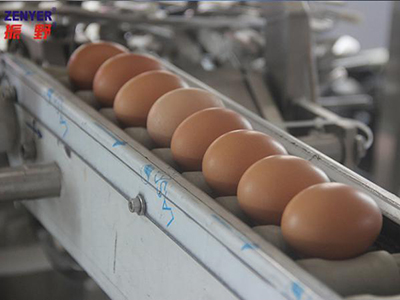Rompedora de huevos 501B