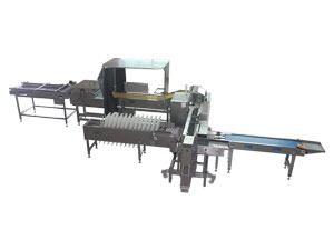 Máquina Empacadora de Huevos 713A