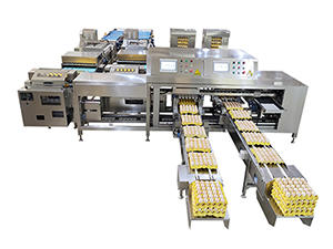 Máquina Empacadora de Huevos 714
