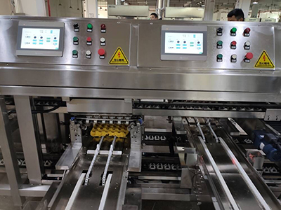 Máquina Empacadora de Huevos 714