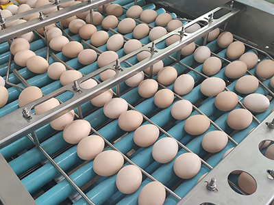 Giro automático de cabeza y esterilización UV