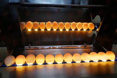 Iluminación (opcional)