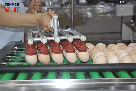 Acumulador de huevos 605G