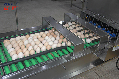 Acumulador de huevos 605A